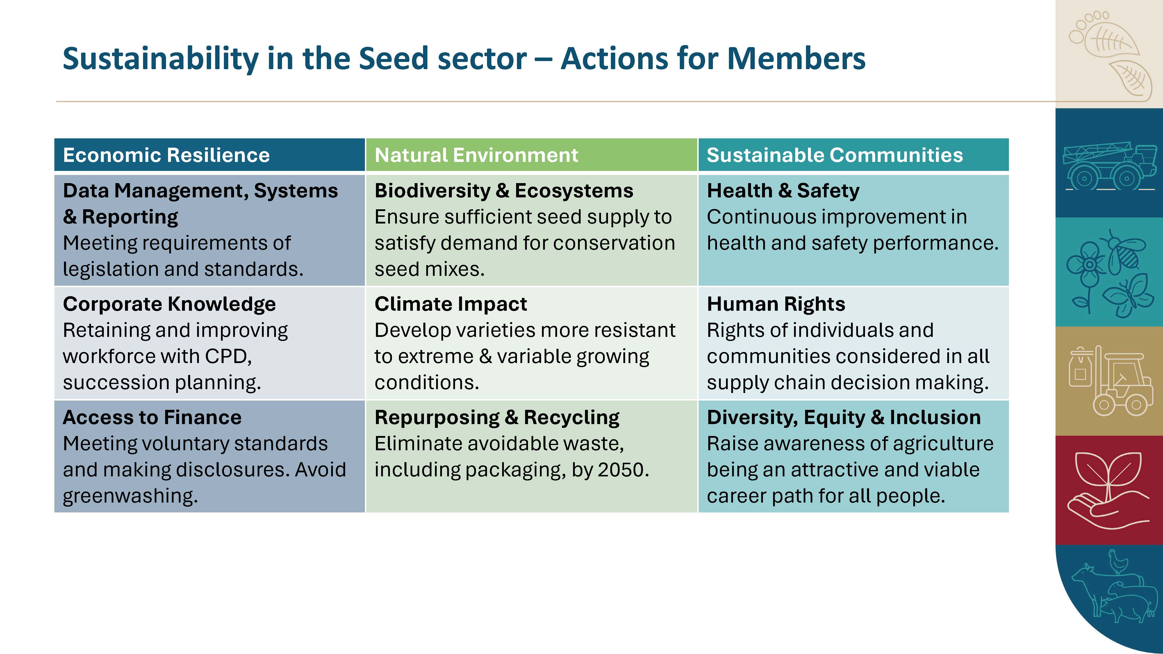 SAP_Sector_WebPages_Seed 08.jpg