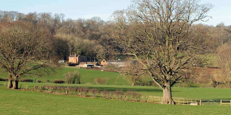 herefordshire-countryside-c-tim-scrivener.jpg