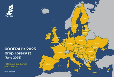 Crop forecast (grains) - June 2025.png