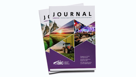 AIC Q2 Header.jpg