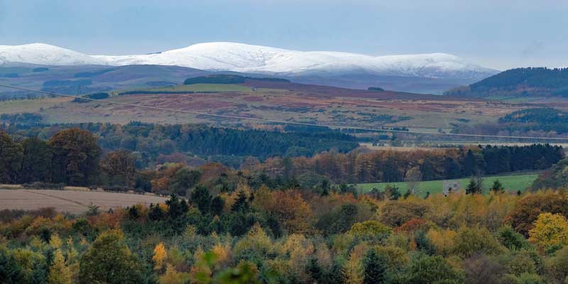 Northumberland-uplands-landscape-c-tim-scrivener.jpg