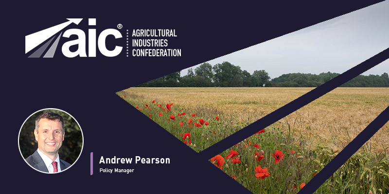 AIC Blog Module Andrew.jpg
