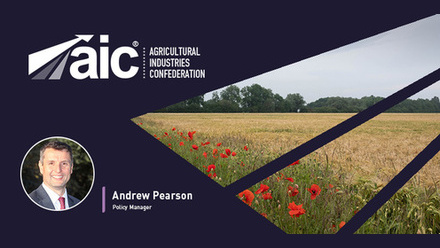 AIC Blog Module Andrew.jpg