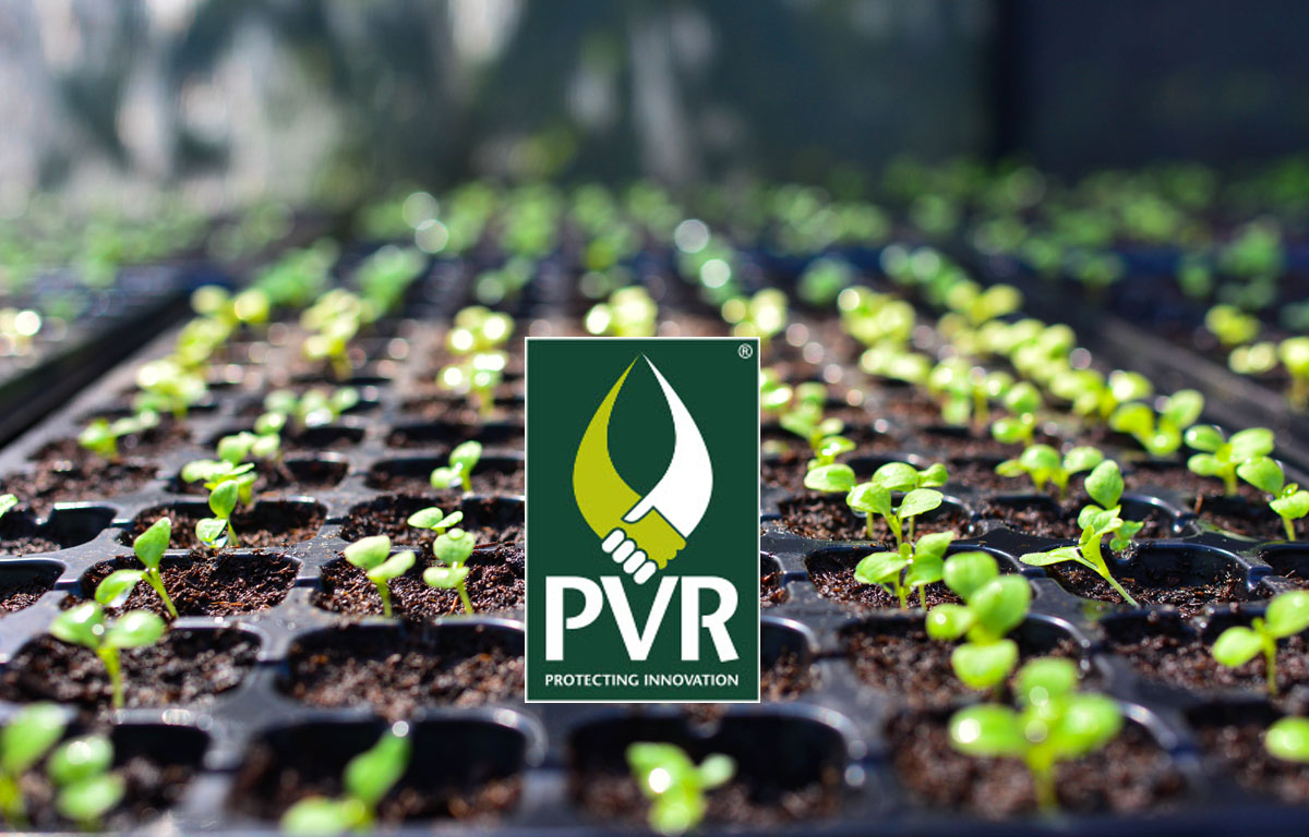 AIC Plant Variety Rights (PVR)