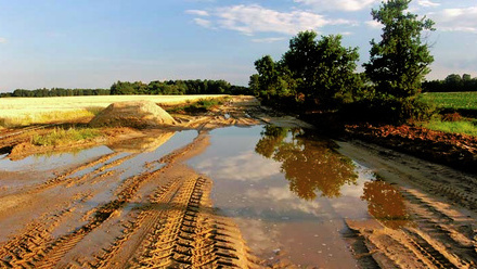 Powering-Productivity-report-puddle-water-meadow.jpg