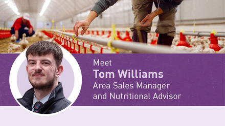 Tom Williams thumbnail.jpg
