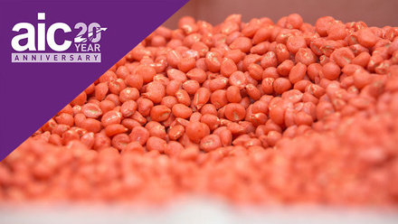 aic-at-20-treated-maize-seed-c-tim-scrivener.jpg