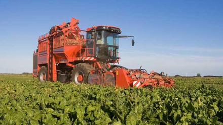 sugar-beet-lifting-c-tim-scrivener.jpg 1