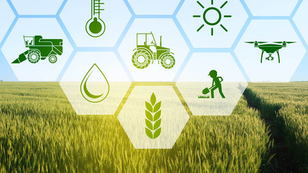 stock-photo-icons-and-field-on-background-concept-of-smart-agriculture-and-modern-technology-700890880.jpg