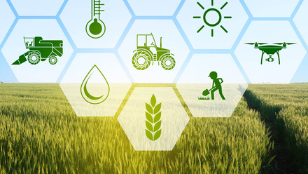 stock-photo-icons-and-field-on-background-concept-of-smart-agriculture-and-modern-technology-700890880.jpg