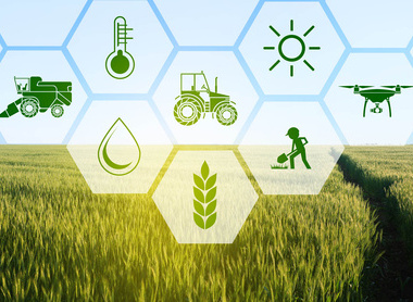 stock-photo-icons-and-field-on-background-concept-of-smart-agriculture-and-modern-technology-700890880.jpg