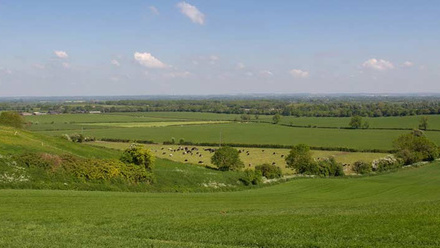 oxfordshire-countryside-farmland-dairy-cows-grazing-c-tim-scrivener.jpg