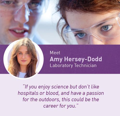 Amy H-D.jpg