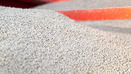 fertiliser in speader hopper c tim scrivener.JPG