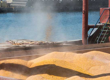 grain-loading-port-page-header-crop-c-shutterstock_1199034769-(1).jpg