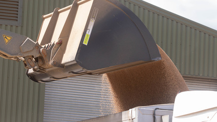 loading grain lorry c tim scrivener.JPG