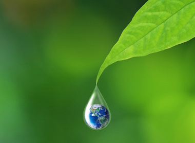 Sustainability