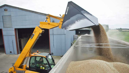 grain-lorry-loading-c-tim-scrivener.jpg