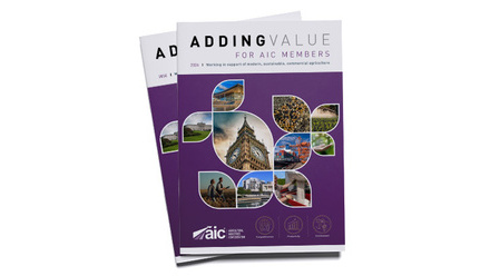Header Adding Value.jpg