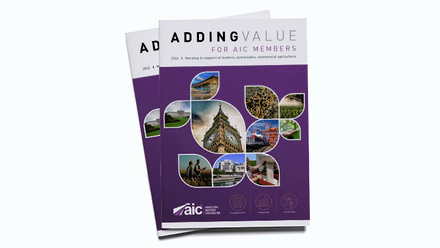 Header Adding Value.jpg