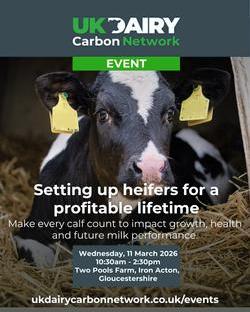 UK Dairy Carbon Network event Setting up heifers for a profitable lifetime (2).jpg