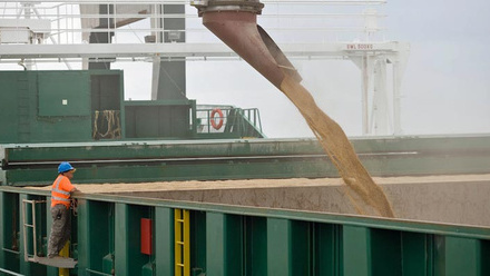 grain-loading-great-yarmouth-c-Tim-Scrivener.jpg