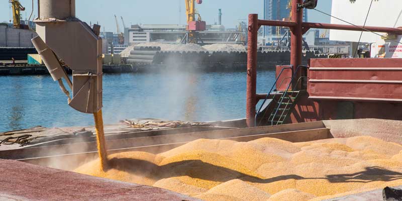 grain-port-loading-ship-c-shutterstock_1199034769.jpg